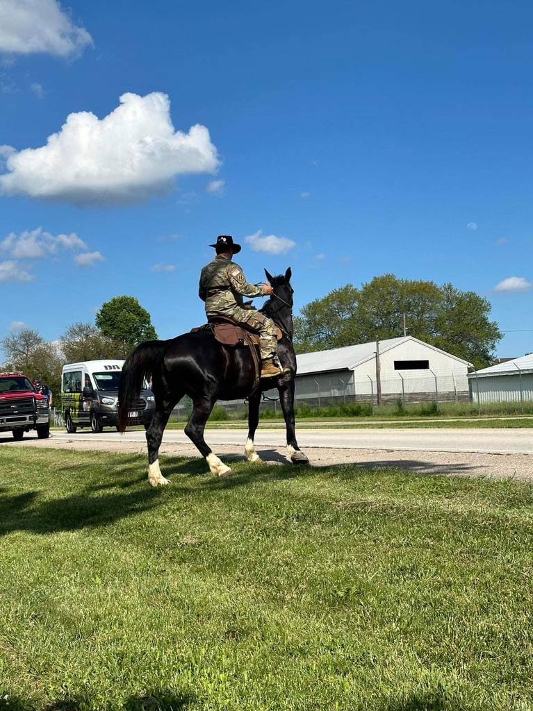 Cavalry soldier in uniform riding a black horse on a sunny day.