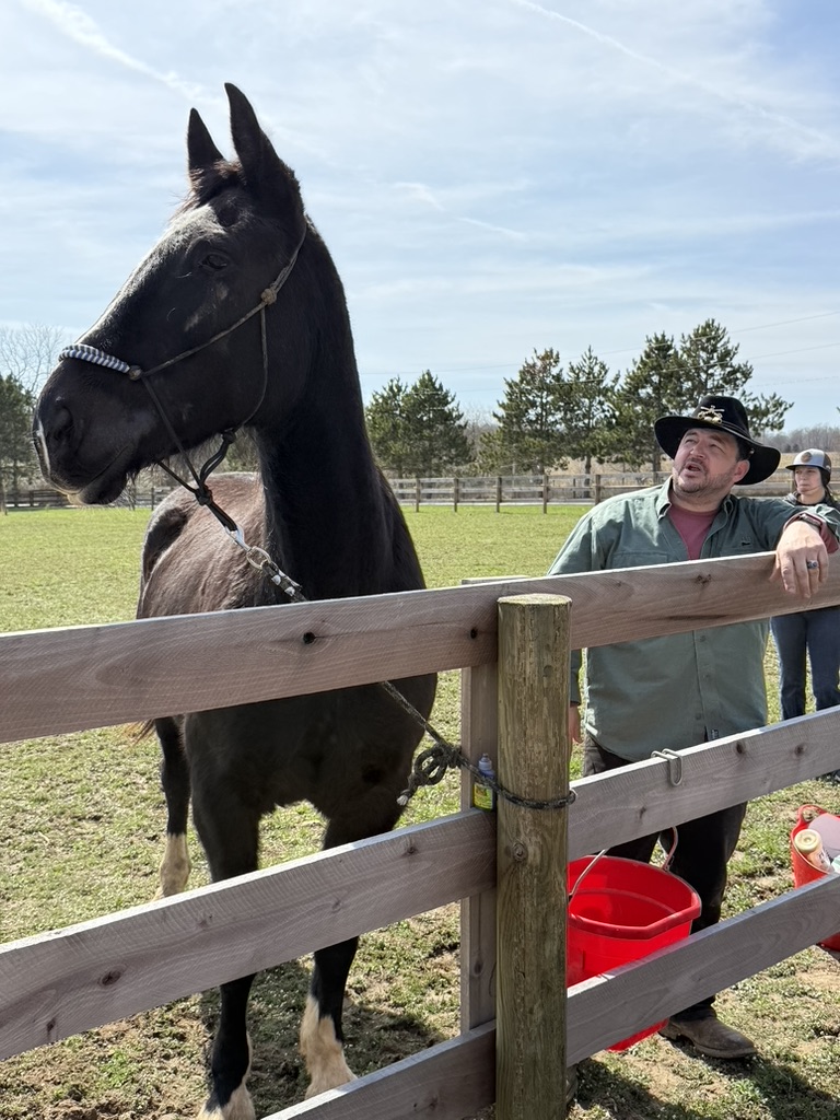 Founder speaks with a black rescue horse at the paddock fence.
